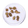 Image 1 : Lot of Gold Nuggets 4.62 grams Total Weight