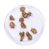 Image 2 : Lot of Gold Nuggets 4.62 grams Total Weight