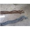 Image 3 : (2) chains plus galvanized pail