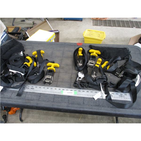 2X The Money - Ratchet straps