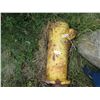 Image 1 : water hydrant