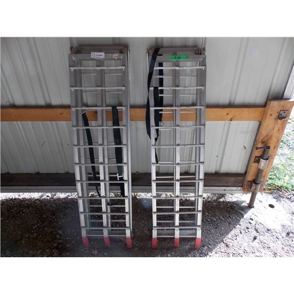 2X The Money - pair of aluminum folding ramps