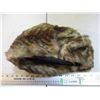 Image 2 : Fur hat