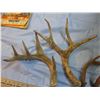 Image 3 : Deer sheds
