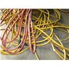 Image 3 : (2) extension cords