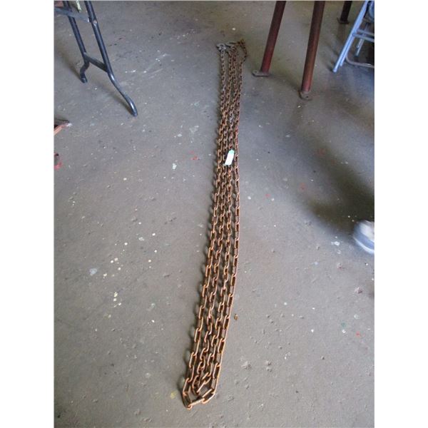 2X The Money - Logging Chain 14ft Long (2)