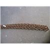 Image 3 : 2X The Money - Logging Chain 14ft Long (2)