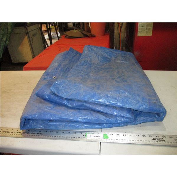 Blue Tarp