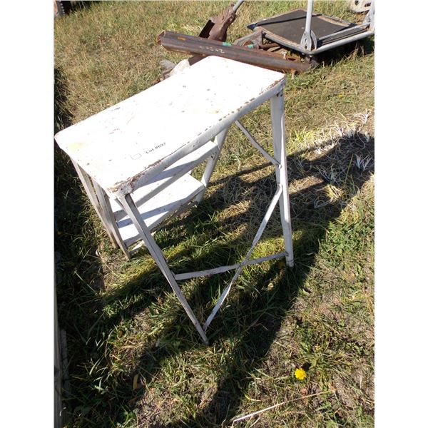 2 foot step ladder