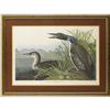Image 1 : Audubon Double Folio Great Northern Diver