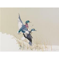 C. M. Henderson, Duck Print, Limited edition