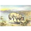 Image 2 : 1920's Coyote Color Lithograph Print