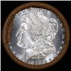 Image 2 : ***Auction Highlight*** 1879 & CC Uncirculated Morgan Dollar Shotgun Roll (fc)