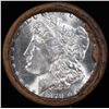 Image 2 : ***Auction Highlight*** Full solid date 1879-s Uncirculated Morgan silver dollar roll, 20 coins (fc)