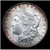 Image 2 : 1891-p Morgan Dollar $1 Grades Choice Unc