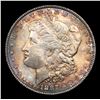 Image 2 : 1887-p Morgan Dollar $1 Grades Choice+ Unc