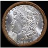 Image 2 : ***Auction Highlight*** 1885 & CC Uncirculated Morgan Dollar Shotgun Roll (fc)
