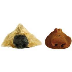 Emile LAVigne  Shaggy Dog  Prosthetic Noses