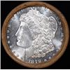 Image 2 : ***Auction Highlight*** 1879 & CC Uncirculated Morgan Dollar Shotgun Roll (fc)