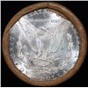 Image 3 : ***Auction Highlight*** 1879 & CC Uncirculated Morgan Dollar Shotgun Roll (fc)