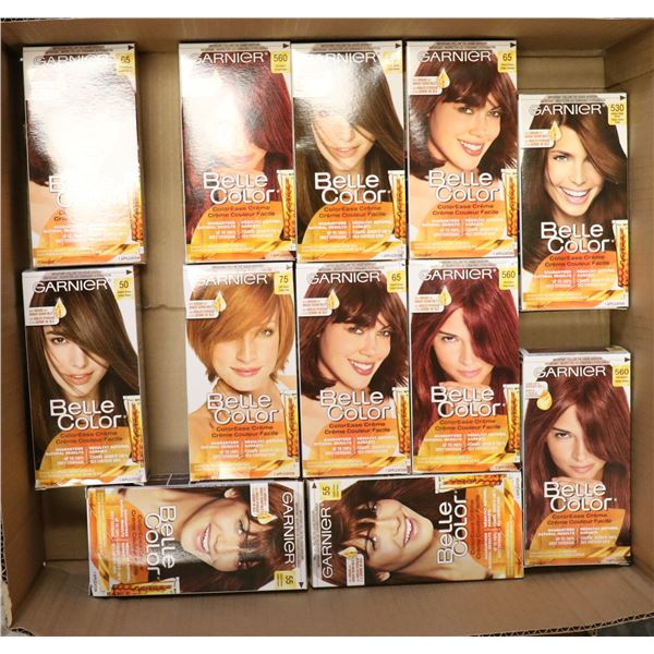 FLAT LOT OF ASSORTED GARNIER BELLE COLOR HAIR DYE