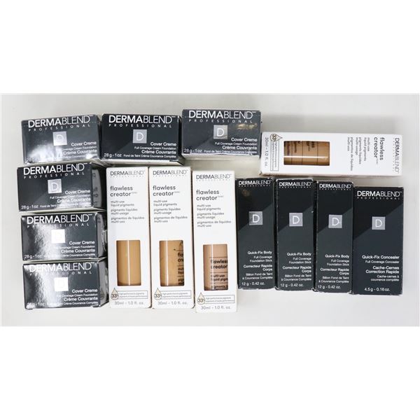 BAG LOT OF DERMABLEND COSMETICS