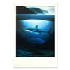 Image 1 : Wyland, "Great White Sharks" Limited Edition Lithograph, Numbered and Hand Signed with Letter of Aut