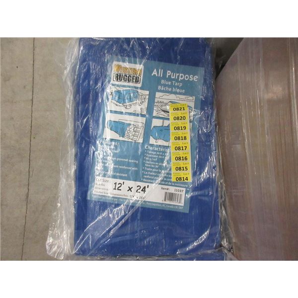 New Blue All Purpose 12' x 24' Tarp