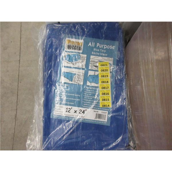 New Blue All Purpose 12' x 24' Tarp