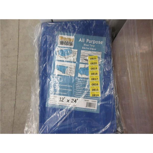 New Blue All Purpose 12' x 24' Tarp