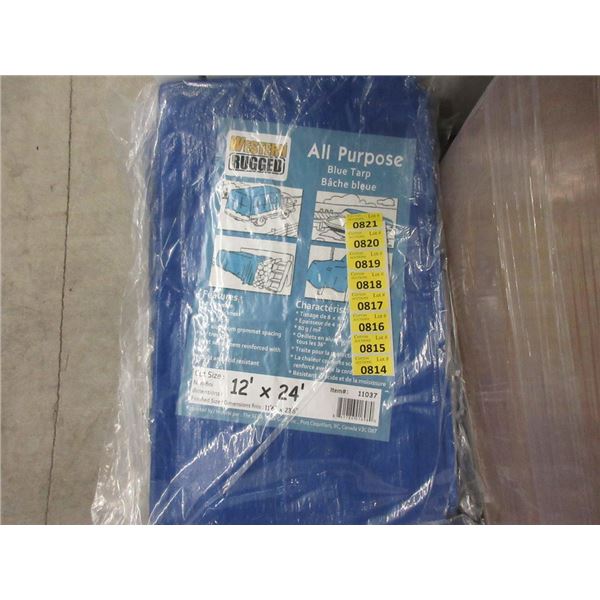 New Blue All Purpose 12' x 24' Tarp