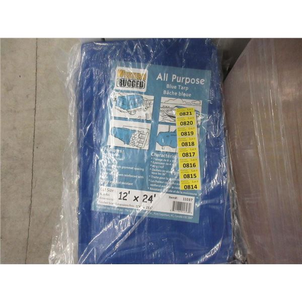 New Blue All Purpose 12' x 24' Tarp