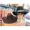 Image 1 : 2 Felt Cowboy Hats