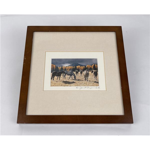 Signed and Numbered Montana Horse Print