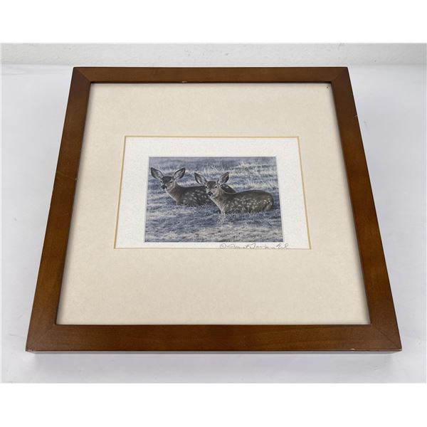 Signed and Numbered Montana Deer Print