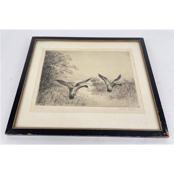 Henry Jackson Simpson Engraving Ducks