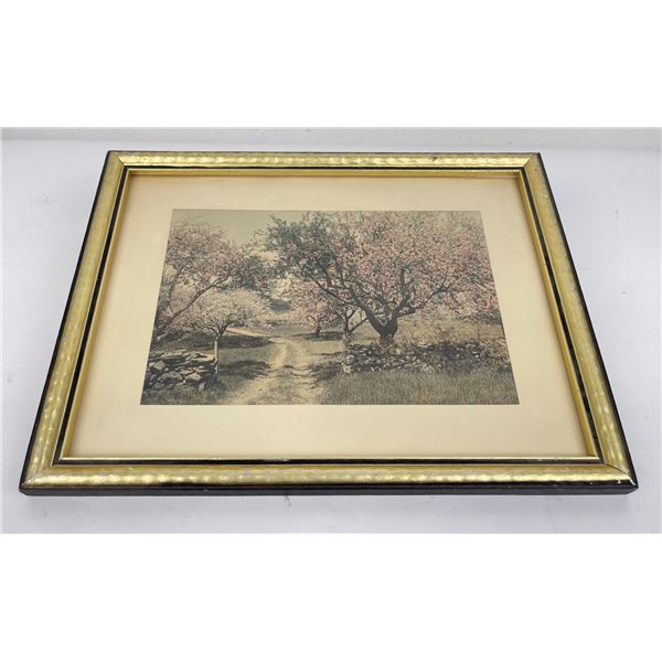 Wallace Nutting Cherry Orchard Blossoms