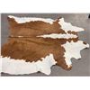 Image 5 : Tanned Brindle Steerhide Steer Bull Cow Rug