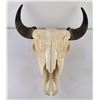 Image 1 : Nice Large Montana Buffalo Skull