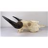 Image 5 : Nice Large Montana Buffalo Skull