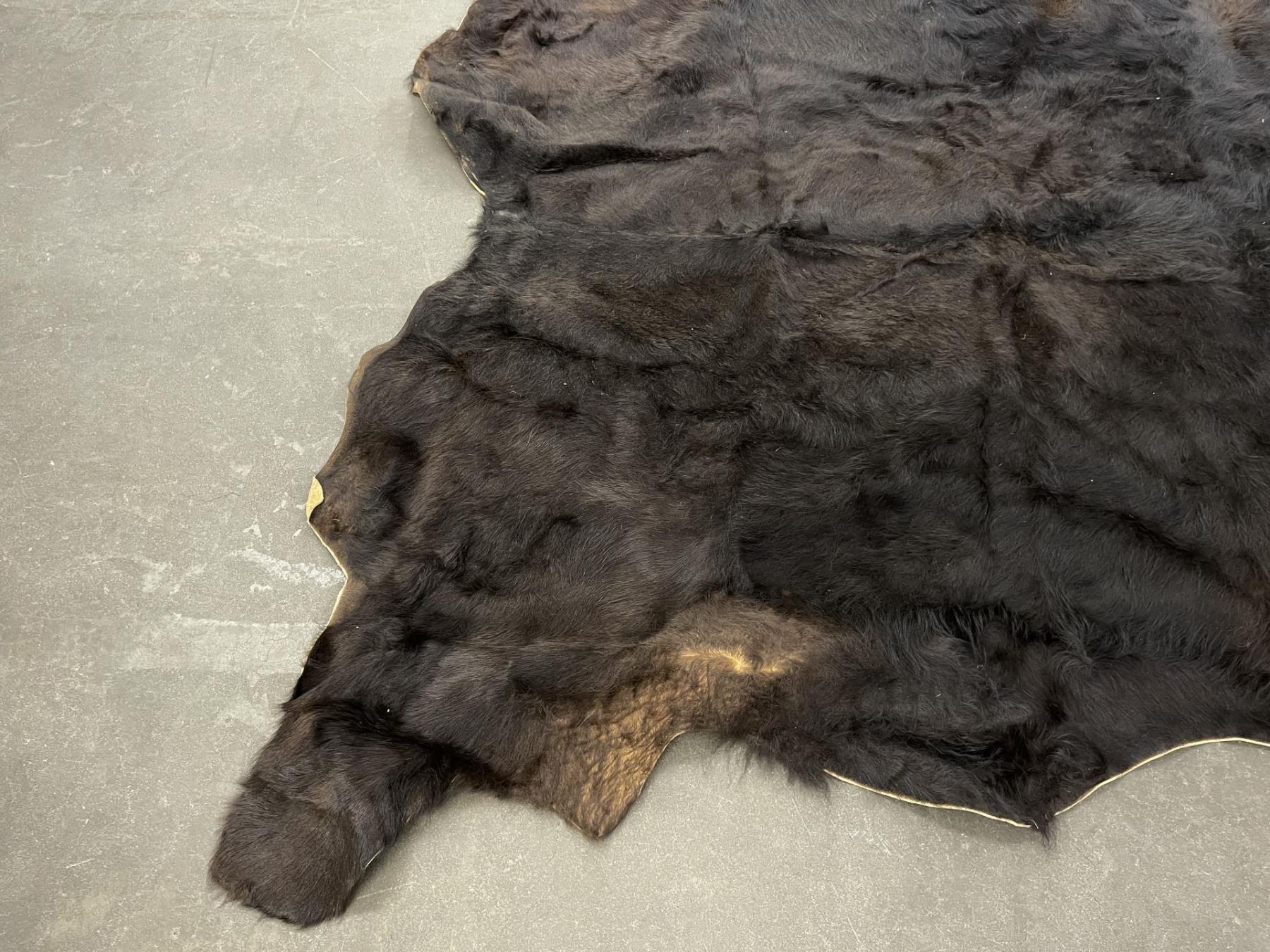 Large Montana Cowhide Steerhide Steer Bull Cow Rug