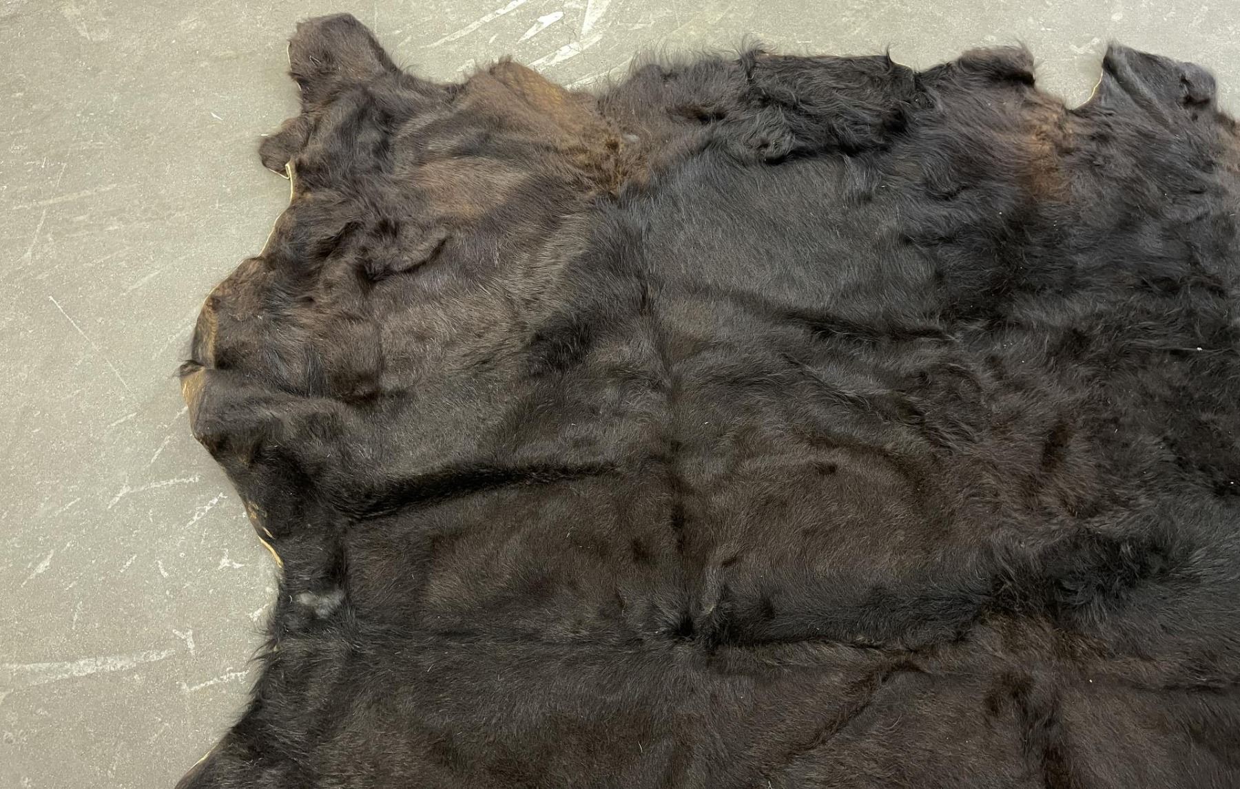 Large Montana Cowhide Steerhide Steer Bull Cow Rug