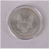 Image 3 : 1999 American Silver Eagle Coin Colorized