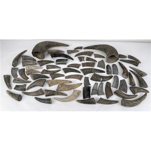 Lot of Montana Buffalo Horn Knife Scale Material