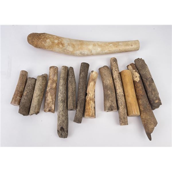 Lot of Fossil Walrus Oosik Knife Handle Material