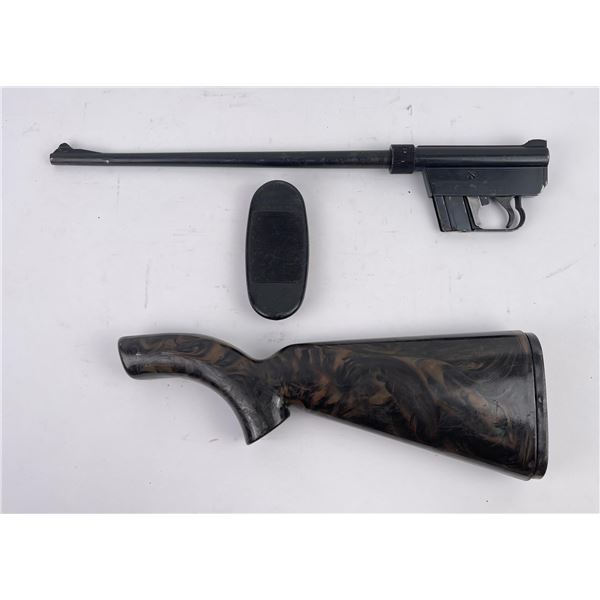 Armalite AR-7 Explorer Survival Rifle Marbled