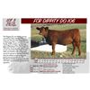 Image 1 : FCR DIPPITY DO 106