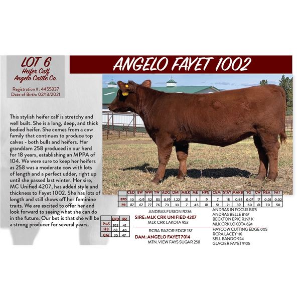 ANGELO FAYET 1002