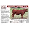 Image 1 : BCRR AARC RED BERRY 119J
