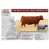 Image 1 : CLARK MATTIE 1201-1401 X BIEBER SPARTACUS A193